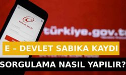 E – Devlet Sabıka Kaydı Sorgulama Nasıl Yapılır?